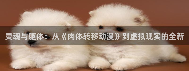 动漫天堂经典完结动漫:灵魂与躯体:从《肉体转移动漫》到虚拟现实的全新配图