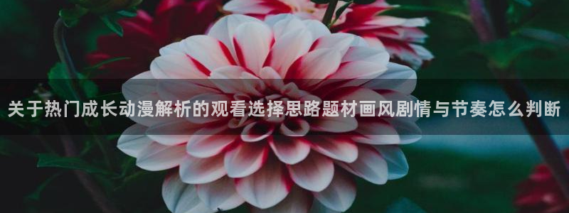 动漫天堂动漫收录:关于热门成长动漫解析的观看选择思路题材画风剧情与节奏怎么判断配图