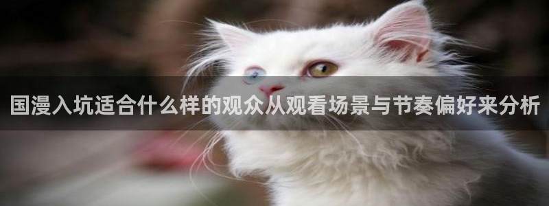 动漫天堂动漫全集:国漫入坑适合什么样的观众从观看场景与节奏偏好来分析配图