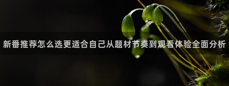 动漫天堂全集免费观看:新番推荐怎么选更适合自己从题材节奏到观看体验全面分析配图