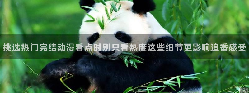 动漫天堂推荐排行榜:挑选热门完结动漫看点时别只看热度这些细节更影响追番感受配图