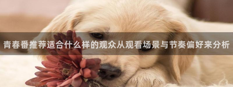 动漫天堂官网：青春番推荐适合什么样的观众从观看场景与节奏偏好来分析配图