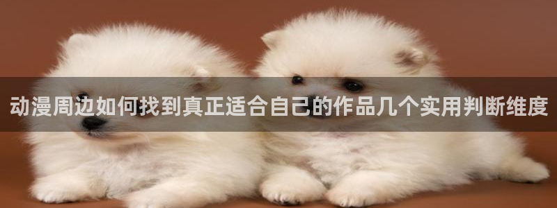 动漫天堂动漫电影推荐:动漫周边如何找到真正适合自己的作品几个实用判断维度配图