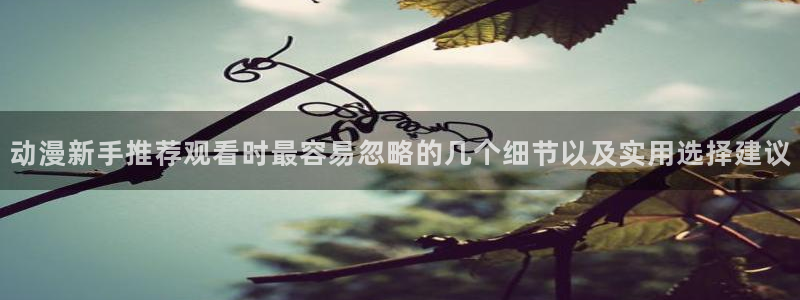 动漫天堂日常动漫推荐:动漫新手推荐观看时最容易忽略的几个细节以及实用选择建议配图