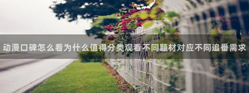 动漫天堂完结动漫:动漫口碑怎么看为什么值得分类观看不同题材对应不同追番需求配图