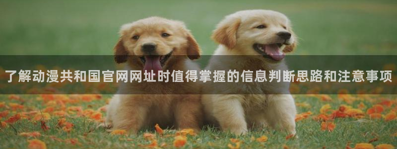 动漫天堂经典作品:了解动漫共和国官网网址时值得掌握的信息判断思路和注意事项配图