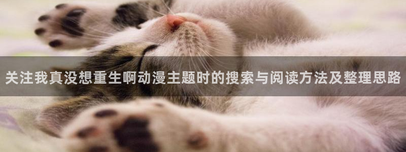 动漫天堂经典推荐:关注我真没想重生啊动漫主题时的搜索与阅读方法及整理思路配图