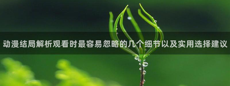 动漫天堂新番追番:动漫结局解析观看时最容易忽略的几个细节以及实用选择建议配图