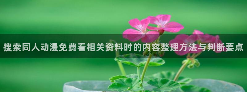 动漫天堂动漫分类大全:搜索同人动漫免费看相关资料时的内容整理方法与判断要点配图