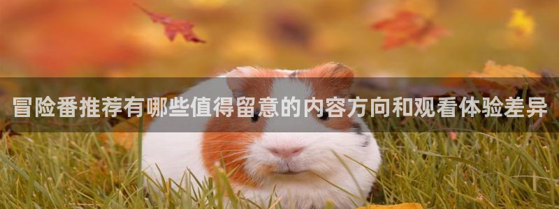 2026动漫天堂最新更新:冒险番推荐有哪些值得留意的内容方向和观看体验差异配图