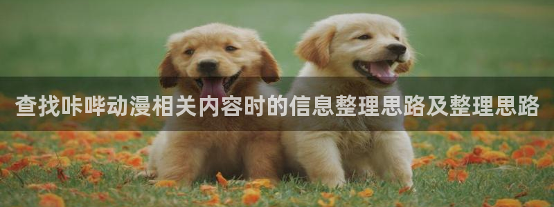 动漫天堂日漫在线观看:查找咔哔动漫相关内容时的信息整理思路及整理思路配图