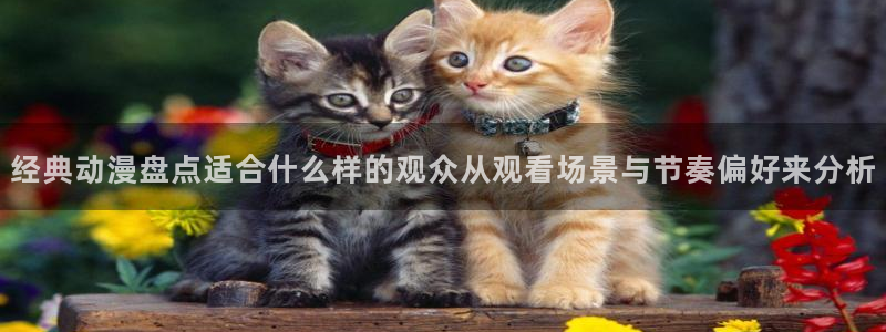 动漫天堂排行榜:经典动漫盘点适合什么样的观众从观看场景与节奏偏好来分析配图