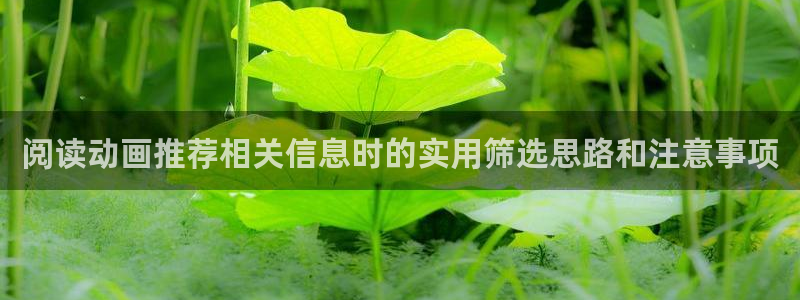 动漫天堂追番:阅读动画推荐相关信息时的实用筛选思路和注意事项配图